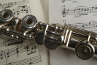 Fluit op muziek